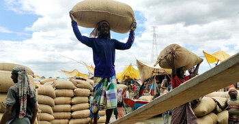Slow pace in rice imports despite duty waivers