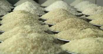 বাংলাদেশে সরবরাহের জন্য ১ লাখ টন চাল কিনছে পাকিস্তান