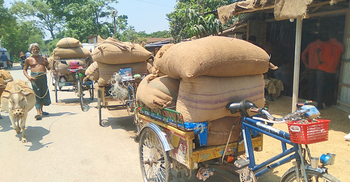 জয়পুরহাটে ধানের বাজার নিম্নমুখী, দিশেহারা কৃষক