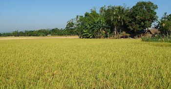 A fertile crisis: Declining soil health drives up farm expenses