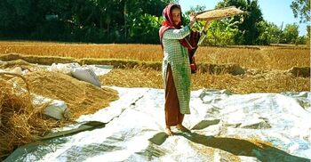 Taskforce for emergency reserves to step up food security