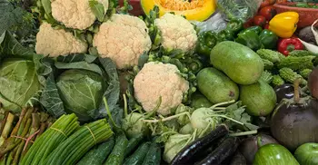 ৩০ থেকে ৬০ টাকার মধ্যে মিলছে শীতের সবজি