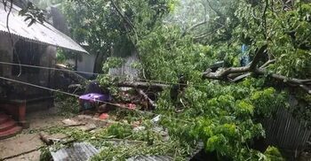 ক্ষতিগ্রস্ত সোয়া দুই লাখ কৃষককে ১৬ কোটি টাকার প্রণোদনা