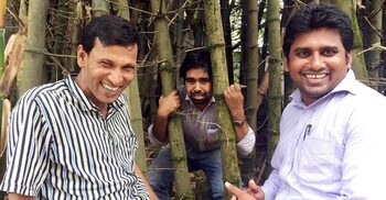 সোশ্যাল মিডিয়ায় কেন বাঁশের ছড়াছড়ি?