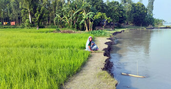 একমাসেই ব্রহ্মপুত্রে বিলীন বসতবাড়িসহ ৫০ বিঘা জমি