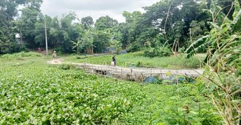 রাতের আঁধারে খালের ওপর রাস্তা বানালেন ইউপি চেয়ারম্যান