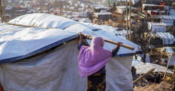 এপিবিএনের বিরুদ্ধে যৌন হয়রানির অভিযোগ, সেনা চায় রোহিঙ্গা নারীরা