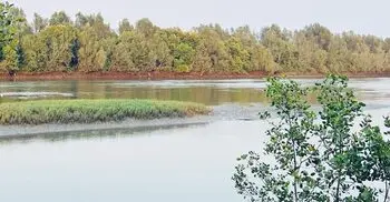 উখিয়া সীমান্তে মাইন বিস্ফোরণে রোহিঙ্গা যুবকের পা বিচ্ছিন্ন