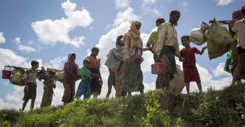11.89 lakh Rohingyas now in Bangladesh: Khalilur