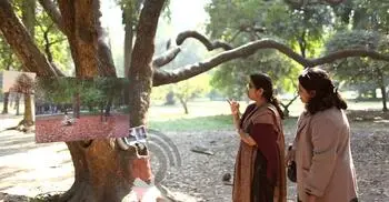 রমনা পার্কে চলছে আলোকচিত্র প্রদর্শনী