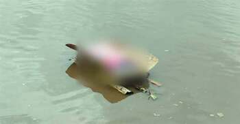 কলা গাছের ভেলায় ভেসে এলো ভারতীয় শিশুর মরদেহ