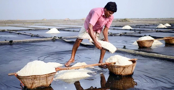 Salt production hits record high