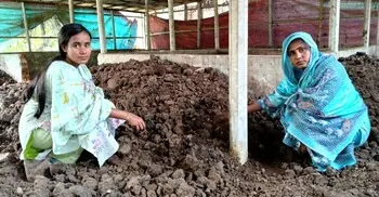 চাকরি না পাওয়ায় কটূক্তি, সুমির খামারে এখন কৃষকের ভিড়