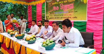 সাতক্ষীরায় চলতি মৌসুমে আম সংগ্রহ শুরু