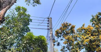 সাতক্ষীরায় বিদ্যুতের তার চুরির হিড়িক, আতঙ্কে গ্রাহকরা