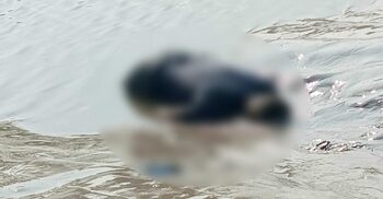 ইছামতি নদীতে ভেসে এলো ভারতীয় নাগরিকের মরদেহ