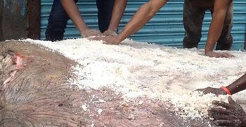 সাতক্ষীরায় কোরবানি পশুর চামড়া সংরক্ষণে ১০ টন লবণ দেবে সরকার