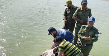 সাতক্ষীরায় ৮৬০ কেজি শামুক জব্দ, চুনা নদীতে অবমুক্ত