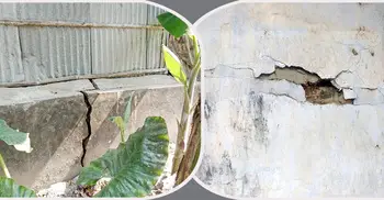 তীব্র ঝাঁকুনিতে কাঁপলো উৎপত্তিস্থল সাতক্ষীরার আশাশুনি