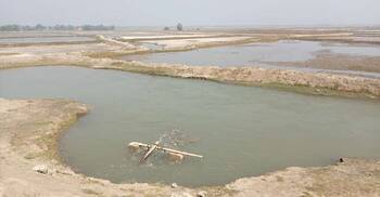 ফসলি জমিতে নতুন করে লোনা পানির আগ্রাসন