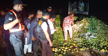 সাতক্ষীরায় কার্বাইড মেশানো ৮ হাজার কেজি আম ধ্বংস
