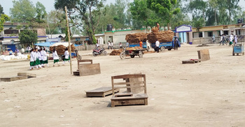 স্কুলের মাঠ দখল করে পশুর হাট, নষ্ট হচ্ছে শিক্ষার পরিবেশ