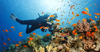 স্কুবা ডাইভিং করার আগে যা খেয়াল রাখবেন