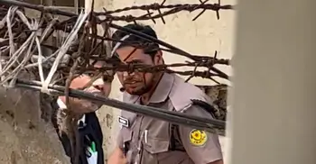 আদালতে অর্থ লেনদেনের ভিডিও ভাইরাল পুলিশ সদস্য সাময়িক বরখাস্ত