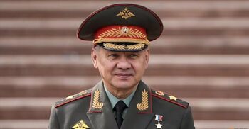 Putin removes defence minister Shoigu
