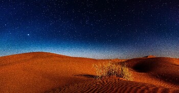 মহানবীকে (সা.) আল-আমিন বলা হতো কেন?