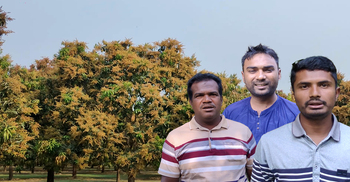 আমের মুকুলের মিষ্টি ঘ্রাণে ভরপুর চাঁপাইনবাবগঞ্জ