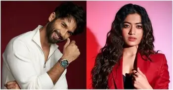 শহিদ কাপুর ও রাশমিকা এবার প্রেমও করবেন, কমেডিও হবে