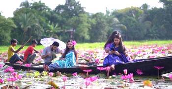 শাপলার সৌন্দর্যে ভরপুর গোপালগঞ্জের বিল