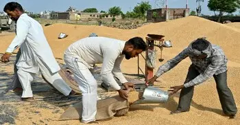 ভারতে অস্বাভাবিক গরমের আশঙ্কা, ঝুঁকিতে শস্য উৎপাদন