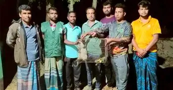 গারো পাহাড়ে অবমুক্ত হলো লজ্জাবতী বানর