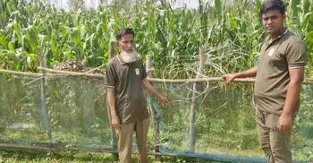 হাতির প্রবেশ ঠেকাতে বিদ্যুতের ফাঁদ, বন বিভাগের উচ্ছেদ