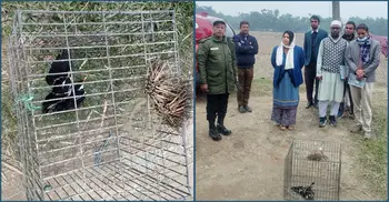 শেরপুরে পাখি শিকার করে জরিমানা গুনলেন যুবক