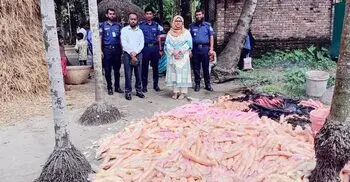 রাসায়নিক রং ব্যবহার করে আইসক্রিম তৈরি, জরিমানা-পণ্য ধ্বংস