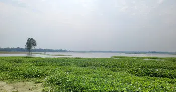 শেরপুরের কমতে শুরু করেছে পাহাড়ি নদীর পানি