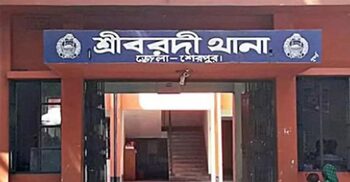 বৃষ্টির পানিতে ভেলা বানিয়ে খেলতে গিয়ে দুই শিশুর মৃত্যু