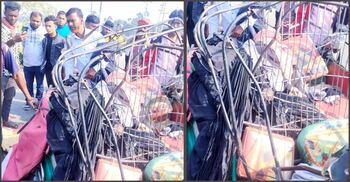 5 die as bus rams CNG-run auto-rickshaw