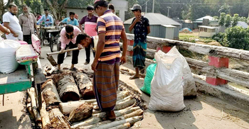 ভাঙা সেতুতে কাঠ-গাছের জোড়াতালি