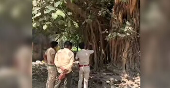 এসআইআর আতঙ্কে বটগাছে উঠলেন নারী