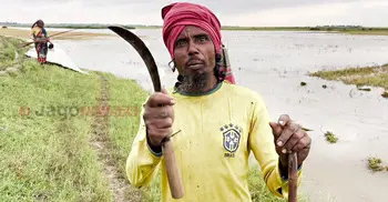 ‘আমি এহন খেলা দেহুম কী দিয়া, বিশ্বকাপে ব্রাজিলের সাপোর্টার আমি’