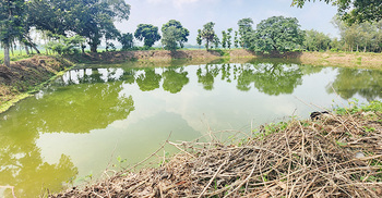 সিরাজগঞ্জে আদালতের নির্দেশ উপেক্ষা করে সরকারি পুকুর দখলের অভিযোগ