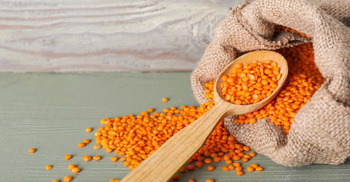 তৈলাক্ত ত্বকের প্রাকৃতিক সমাধান মসুর ডাল