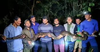 বাড়ি থেকে উদ্ধার হলো ৪০ কেজির বিশাল অজগর