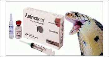 রাসেলস ভাইপারের কামড়ে মৃত্যু নেই, রয়েছে পর্যাপ্ত অ্যান্টিভেনম