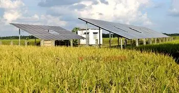 জ্বালানি সংকটে ভরসা সোলার পাম্প