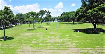 এবারও শোলাকিয়ার মুসল্লিদের জন্য থাকছে ‘ঈদ স্পেশাল’ দুই ট্রেন